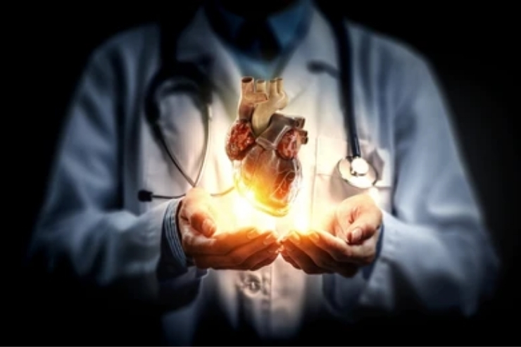 Cardiology